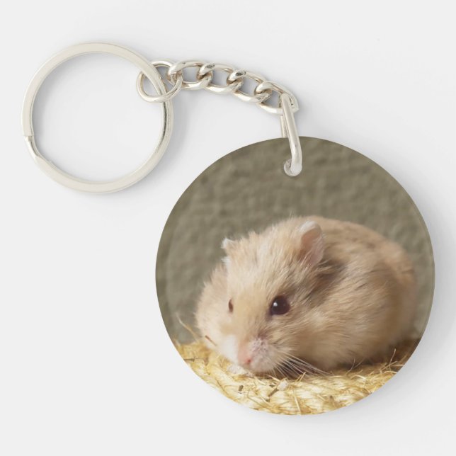 Porte-clefs Campbells Dwarf Hamster russe, Argente (Devant)