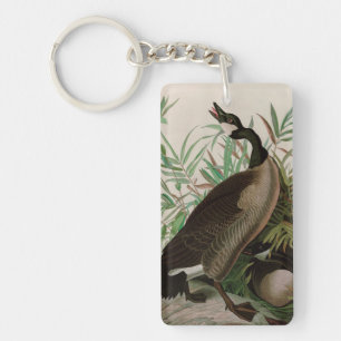 Porte-clefs Canada Goose Birds of America Audubon Imprimer