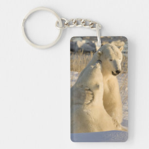 Porte-clefs Canada, Manitoba, baie d'Hudson, Churchill.