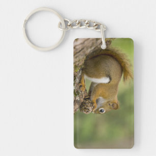 Porte-clefs Canada, Nouvelle-Écosse, Halifax. Jardins publics,