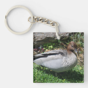 Porte-clefs Canard branchu australien dans un jardin tranquill
