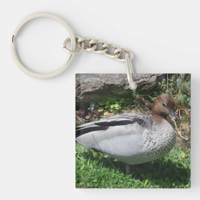 Porte-clefs Canard branchu australien dans un jardin tranquill (Devant)