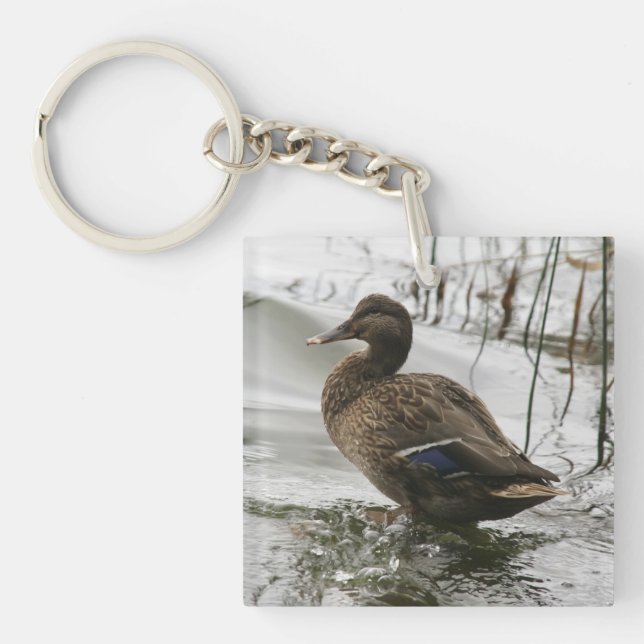 Porte-clefs Canard gris sur le lac sombre (Devant)