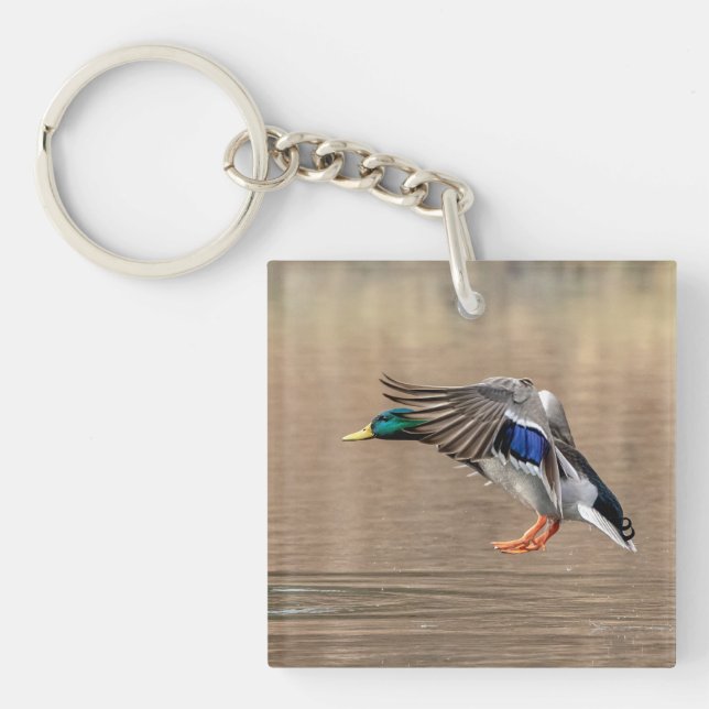 Porte-clefs Canard Mallard en vol (Devant)