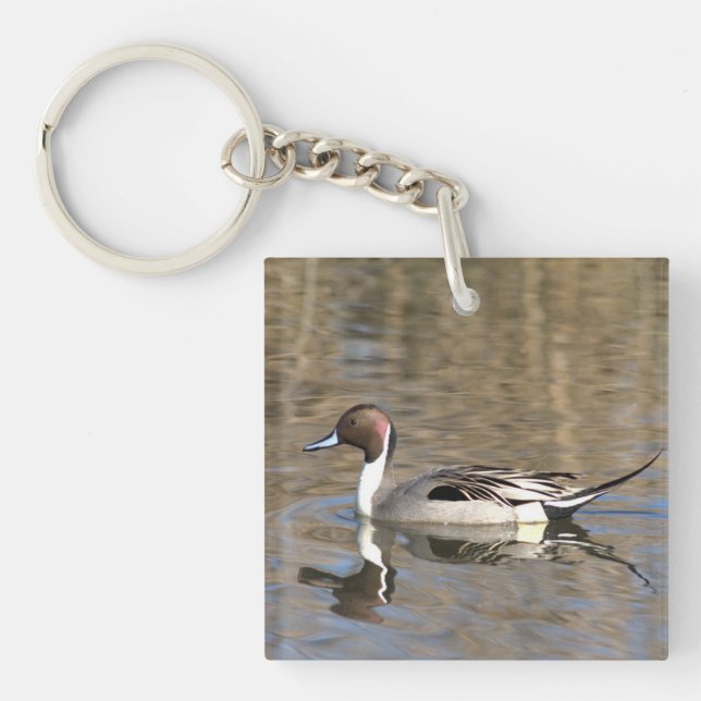 Porte-clefs Canard pilet nage dans un étang (Devant)