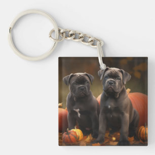 Porte-clefs Cane Corso Chiot Automne Citrouille de plaisir