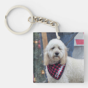 Porte-clefs Caniche