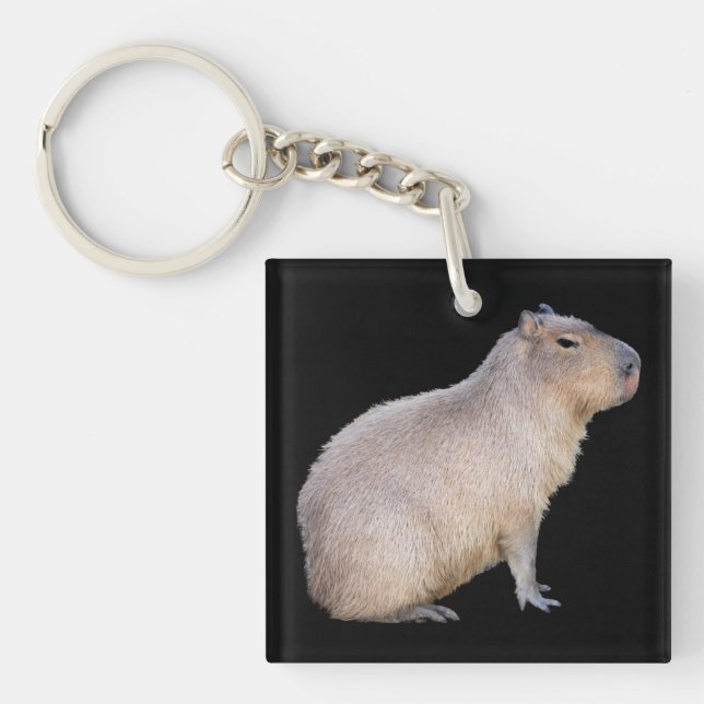 Porte-clefs Capybara (Devant)