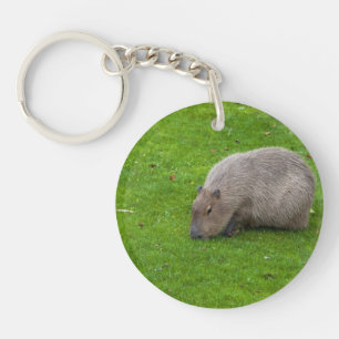 Porte-clefs Capybara Animal Incroyable