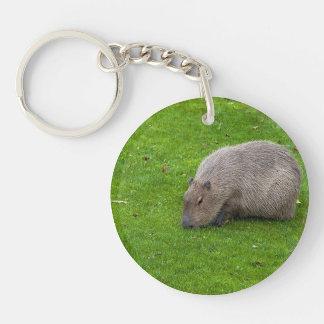 Porte-clefs Capybara Animal Incroyable (Devant)