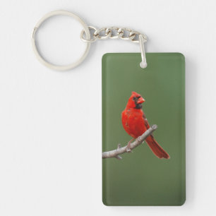 Porte-clefs Cardinal du Nord