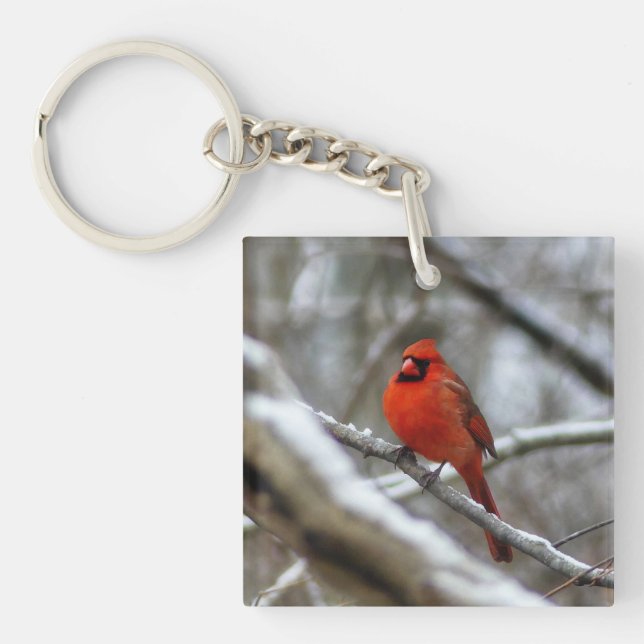 Porte-clefs Cardinal masculin (Devant)