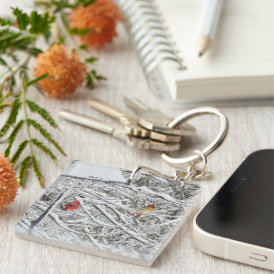 Porte-clefs Cardinaux