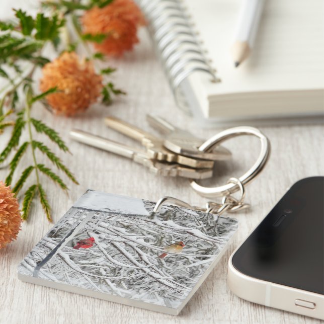 Porte-clefs Cardinaux (Devant Droit)