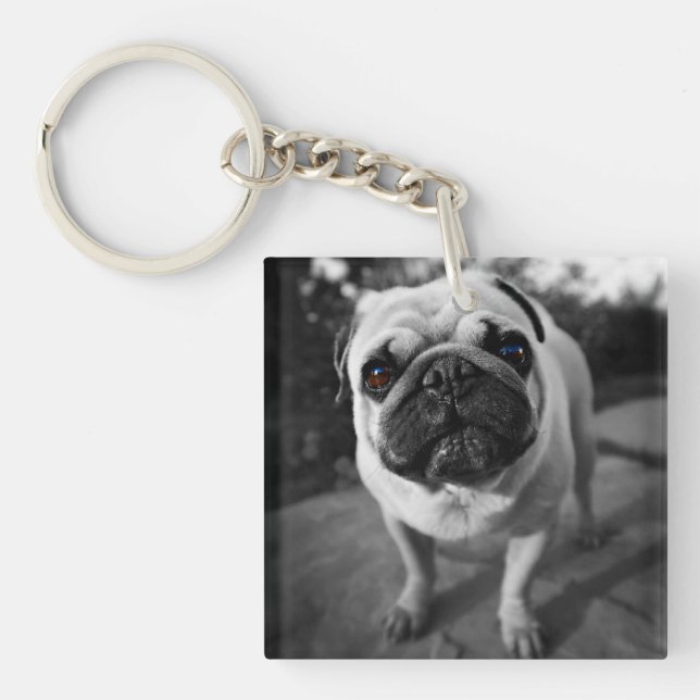 Porte-clefs Carlin beau (Devant)
