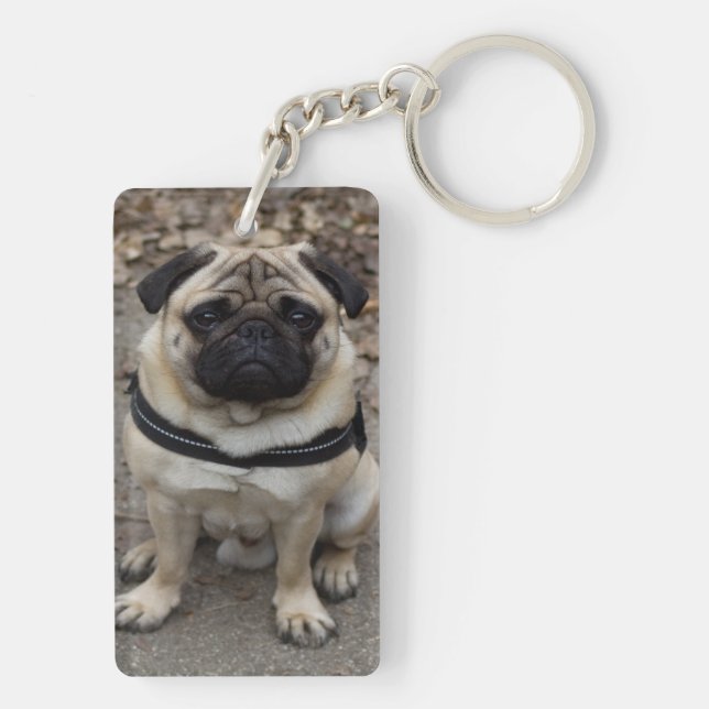 Porte-clefs Carlin très sérieux (Dos)