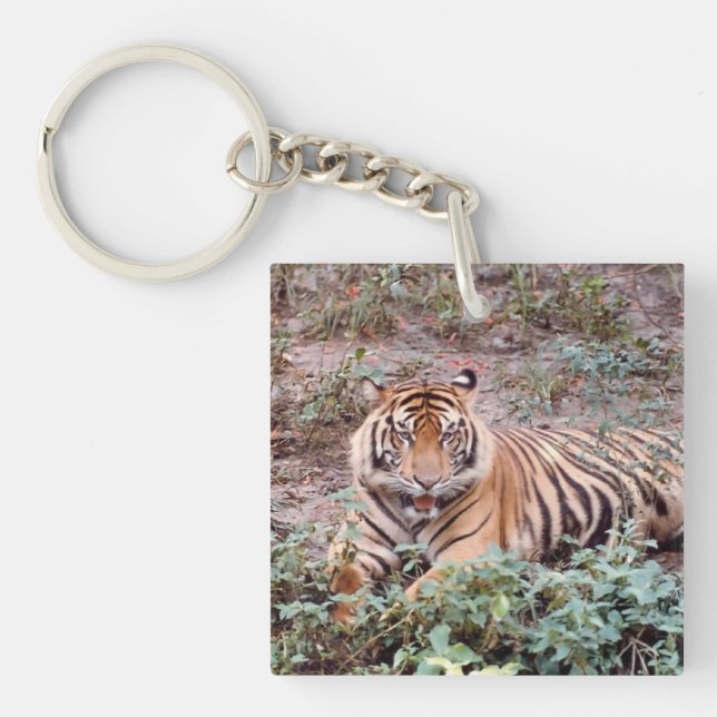 Porte-clefs Carré de tigre de Sumatra (double face) Porte - cl (Devant)