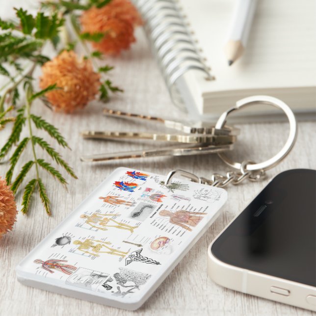 Porte-clefs Cartes Médicales Diagrammes d'anatomie humaine (Devant droit)