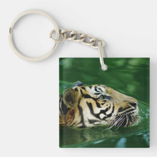 Porte-clefs Casque de natation en tigre malaisien
