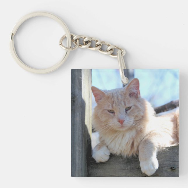 Porte-clefs Cat (Devant)