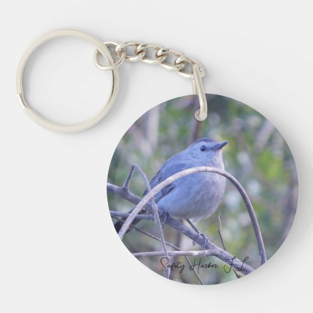 Porte-clefs Catbird Gris Sur Le Port De Sécurité De Branche (Devant)