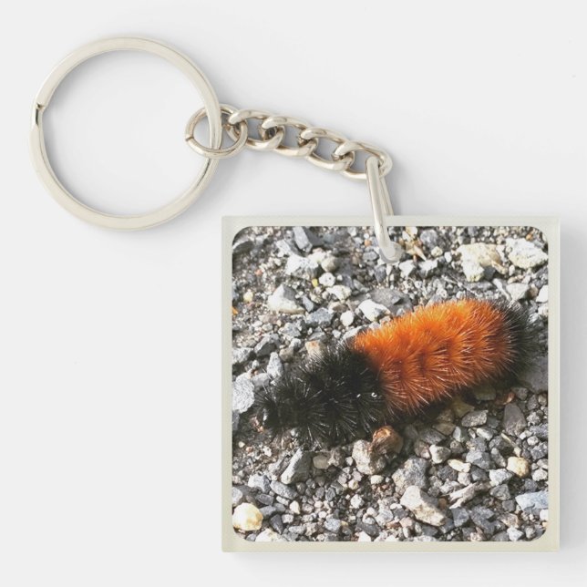 Porte-clefs Caterpillar d'ours laineux (Devant)