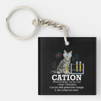 Porte-clefs Cation Fun Chimie Humour Science Enseignant Chat P
