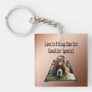 Porte-clefs Cavalier Spaniel Popout Art, Clavier