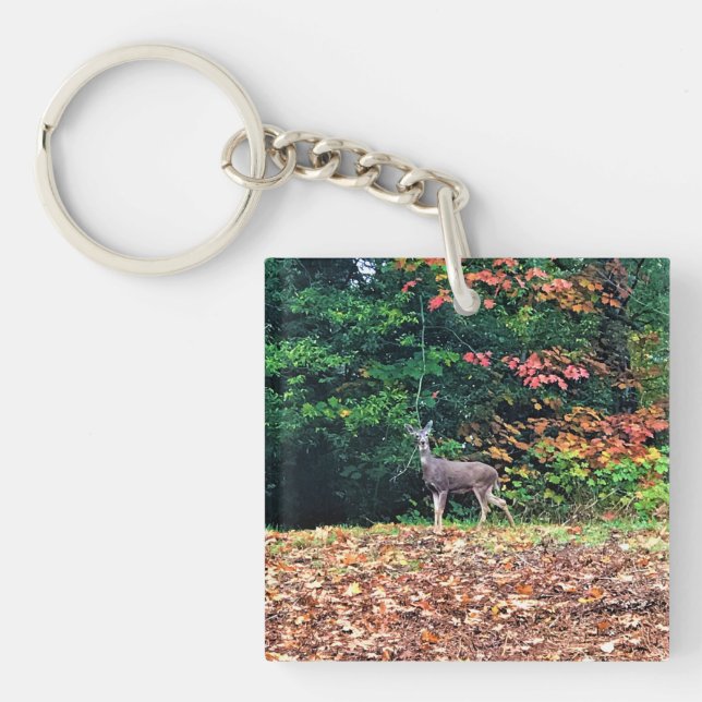 Porte-clefs Cerf dans la forêt, Oregon (Devant)