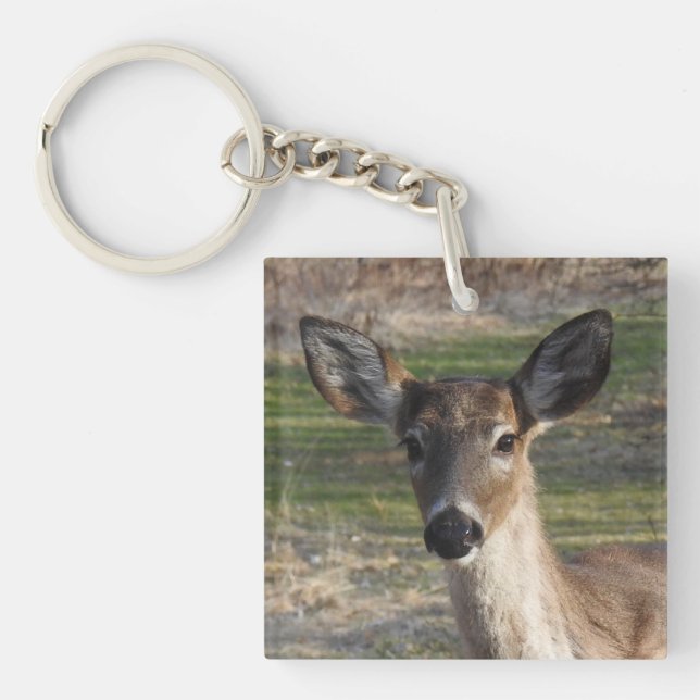 Porte-clefs Cerf de queue blanche près (Devant)