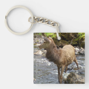 Porte-clefs Cerf Rouge Jeune des Highlands Paisible et Doux