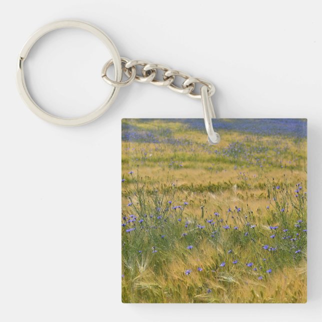 Porte-clefs Champ de Bleuet      (Devant)