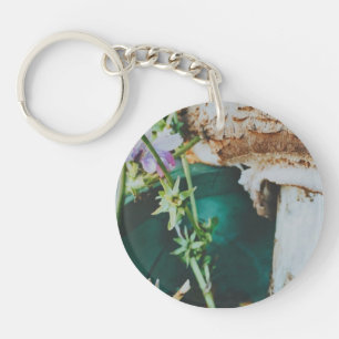 Porte-clefs Champignon parasol, Archipel suédois, Suède