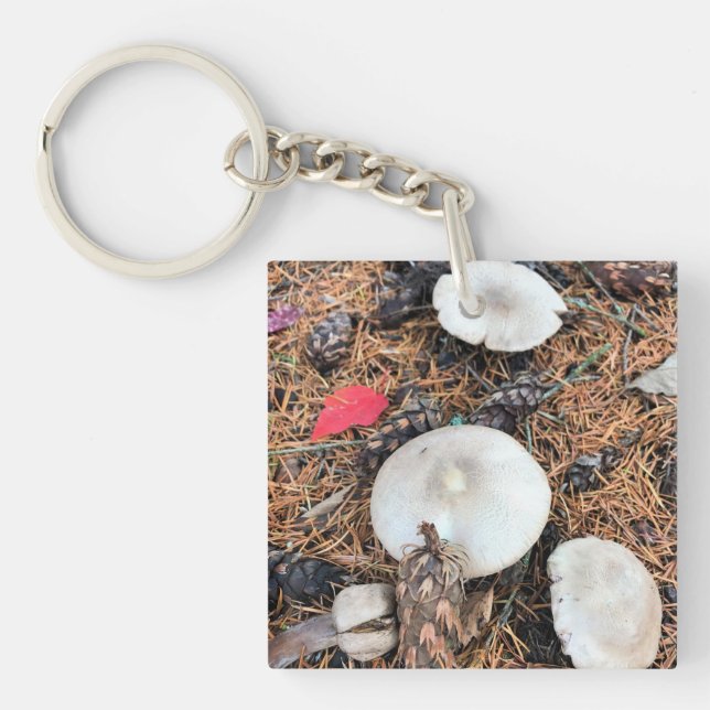Porte-clefs Champignons et cônes de pin (Devant)