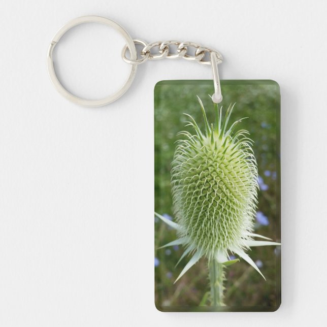 Porte-clefs Chardon au soleil d'été (Devant)