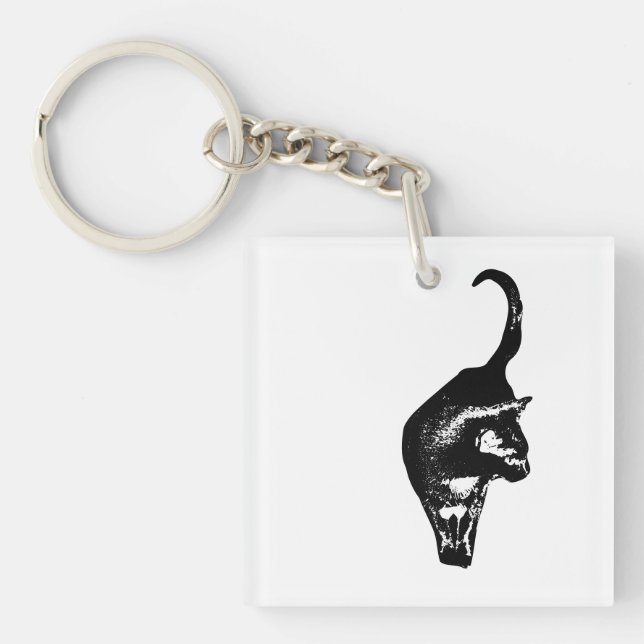 Porte-clefs Charme de chat direct (Devant)