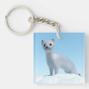 Porte-clefs Charme de la belette arctique