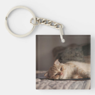 Porte-clefs Chat, Animal De Compagnie, Kitten