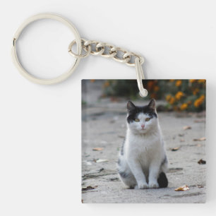Porte-clefs Chat, Blanc, Animaux