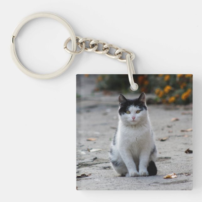 Porte-clefs Chat, Blanc, Animaux (Devant)