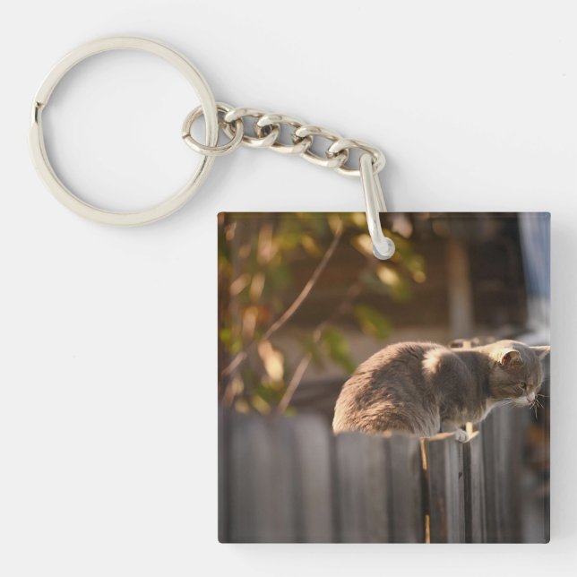 Porte-clefs Chat, Clôture, Bois (Devant)