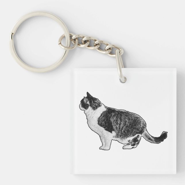 Porte-clefs Chat Compact, Regard Doux (Devant)