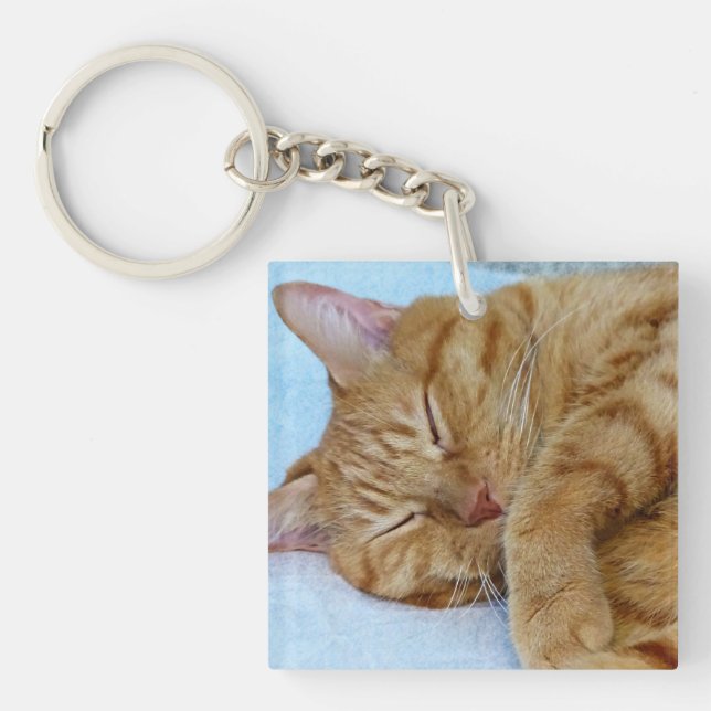 Porte-clefs Chat couché (Devant)