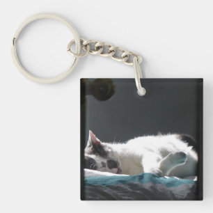 Porte-clefs Chat dans Sunspot Ne pas déranger