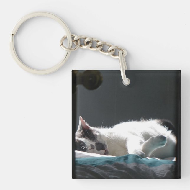 Porte-clefs Chat dans Sunspot Ne pas déranger (Devant)