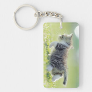 Porte-clefs Chat de bébé fonctionnant sur le champ d'herbe