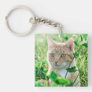 Porte-clefs Chat de gingembre avec yeux verts en herbe