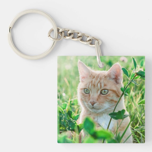 Porte-clefs Chat de gingembre avec yeux verts en herbe (Devant)