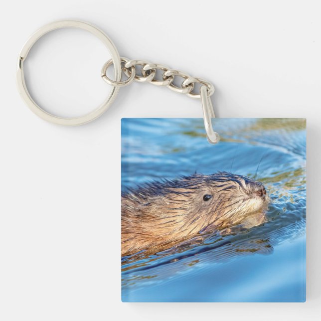Porte-clefs Chat de muscat dans les fermes de Vassar Réserve é (Devant)