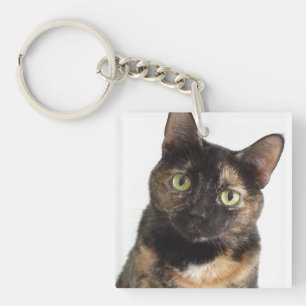Porte-clefs Chat d'écaille